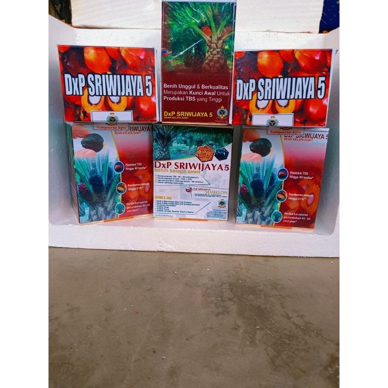 benih kelapa sawit SRIWIJAYA 5 ORIGINAL PREMIUM