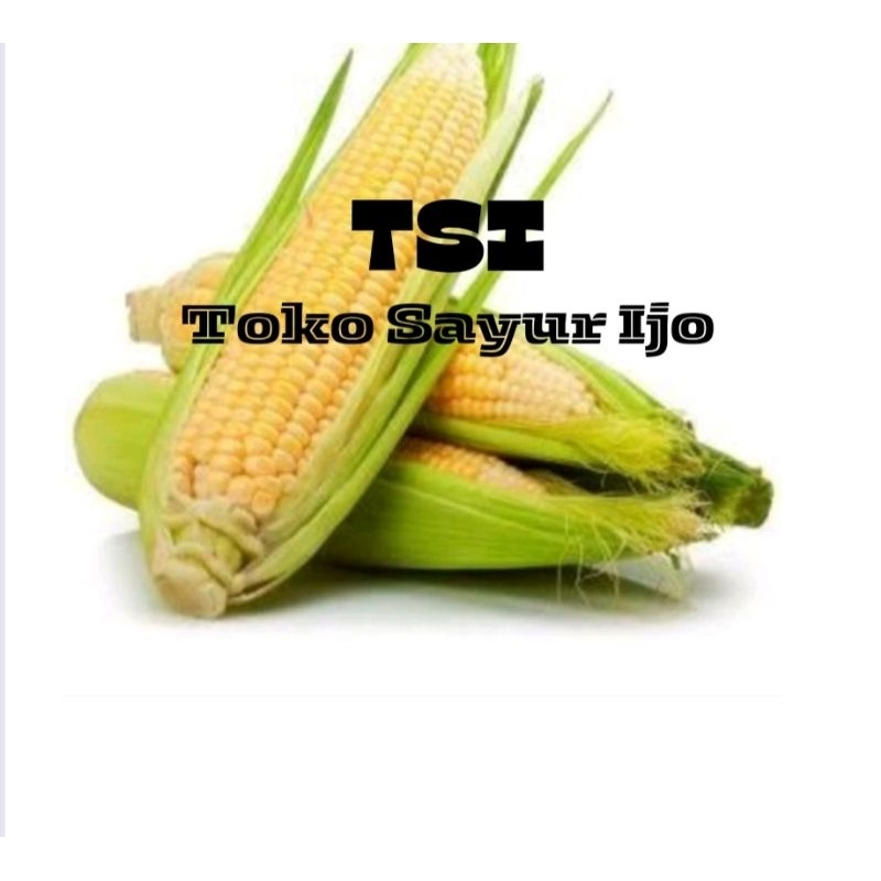 

Jagung biasa per pcs