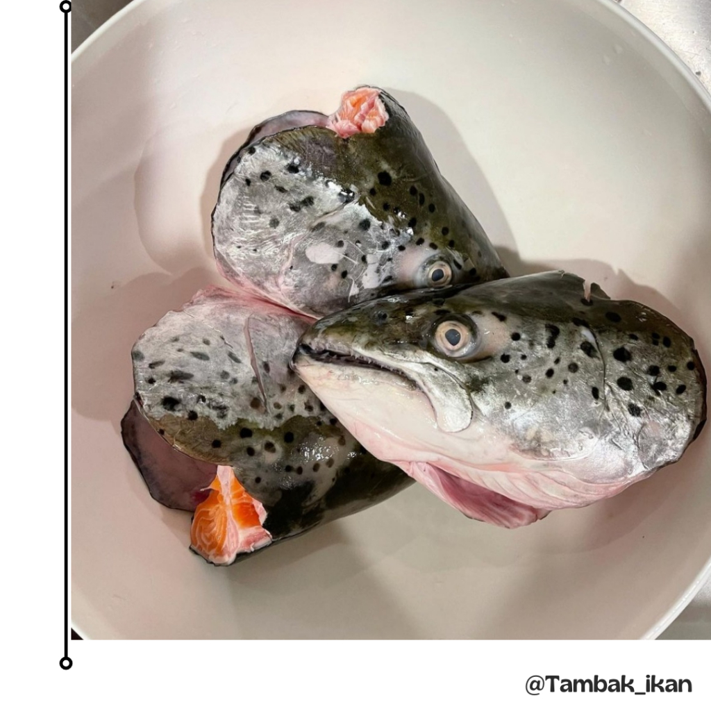 Kepala Salmon Segar / Head Salmon Segar 1Kg