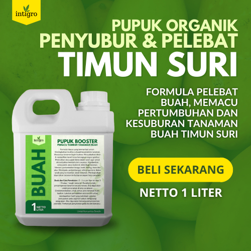 Pupuk Timun Suri / Pupuk Buah Timun Suri / Pupuk Pelebat Buah Timun Suri / Pupuk Timun Suri / Pupuk 