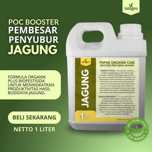 Pupuk Jagung Masa Pertumbuhan / Pupuk Jagung Pembesar Buah / Pupuk Pembesar Jagung / Pupuk Booster J