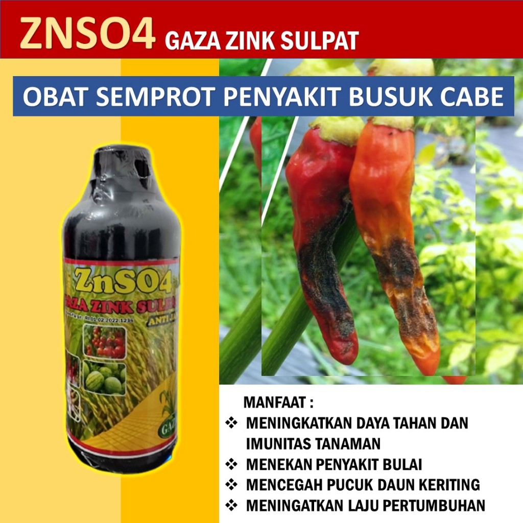 COD Obat Penyakit Patek Busuk Cabe/Cabai GAZA ZINKG ZNS04 500 ML - Pupuk Cabe Lebat Atasi Busuk Keri
