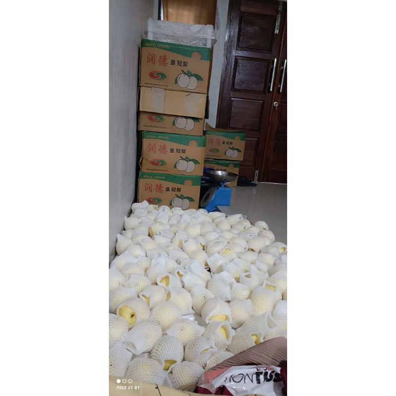 

naga,jeruk,pisang bukittinggi,pir madu,pokat mentega,anggur