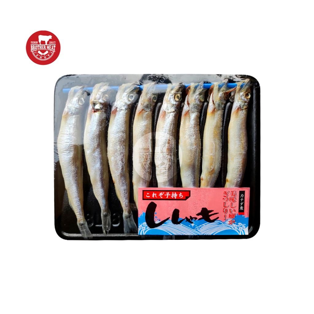 

1212 STOK READY Shisamo Fish Ikan Capelin 1619gr gas