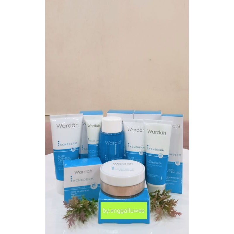 PAKET WARDAH ACNE DERM