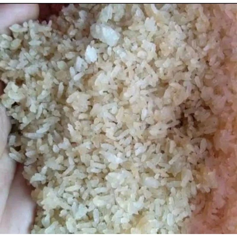 Nasi aking/Karak bening bersih pakan ternak hewan