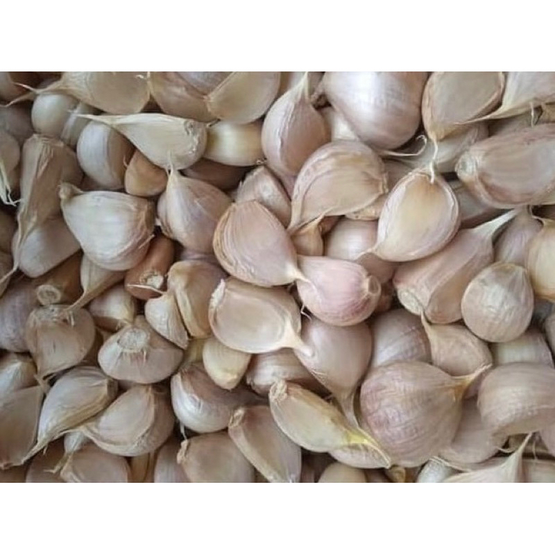 

Bawang putih berkualitas 500 gr