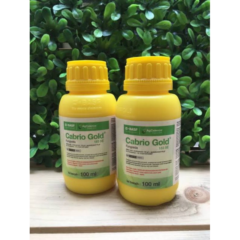 cabrio gold 183 SE 100 ml