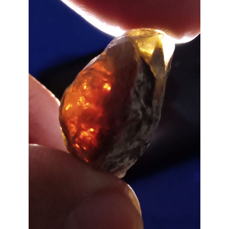 Natural Bahan Kalimaya Banten Asli Teh Jumbo Full Jarong 1 Batu