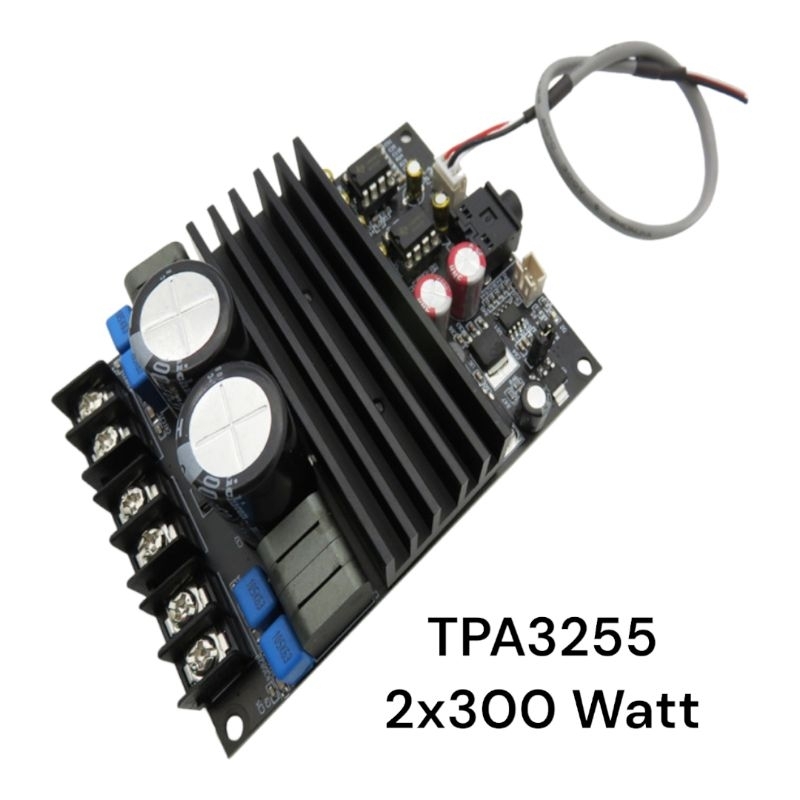 Power TPA3255 2x300 Watt