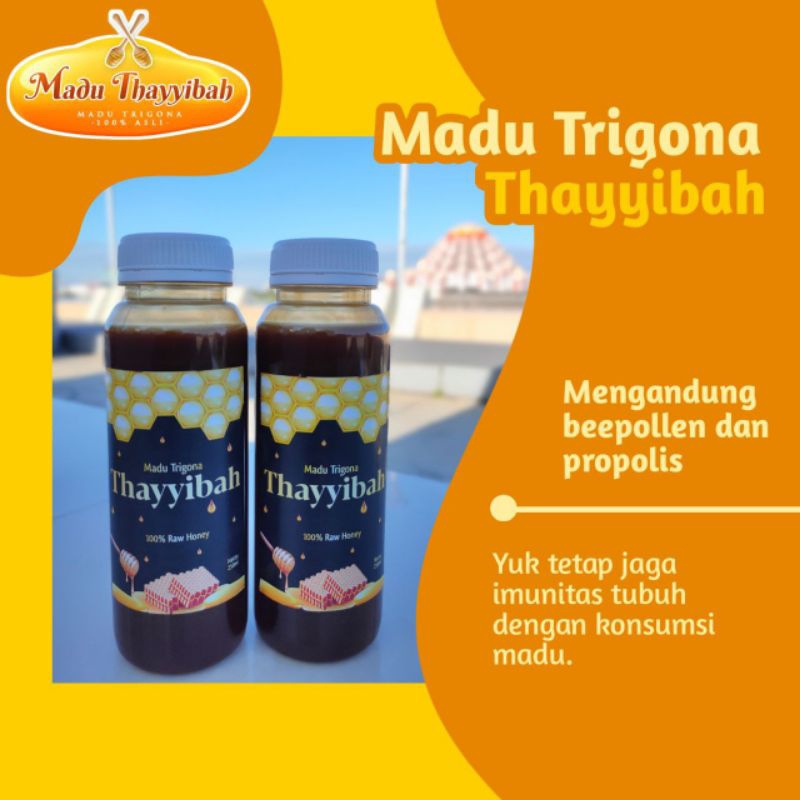

Madu Trigona Thayyibah uk 250ml