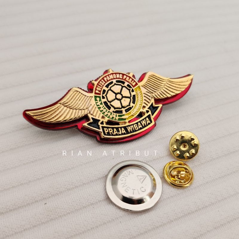 WING SATPOL PP, PIN POL PP, PIN SATPOL PP