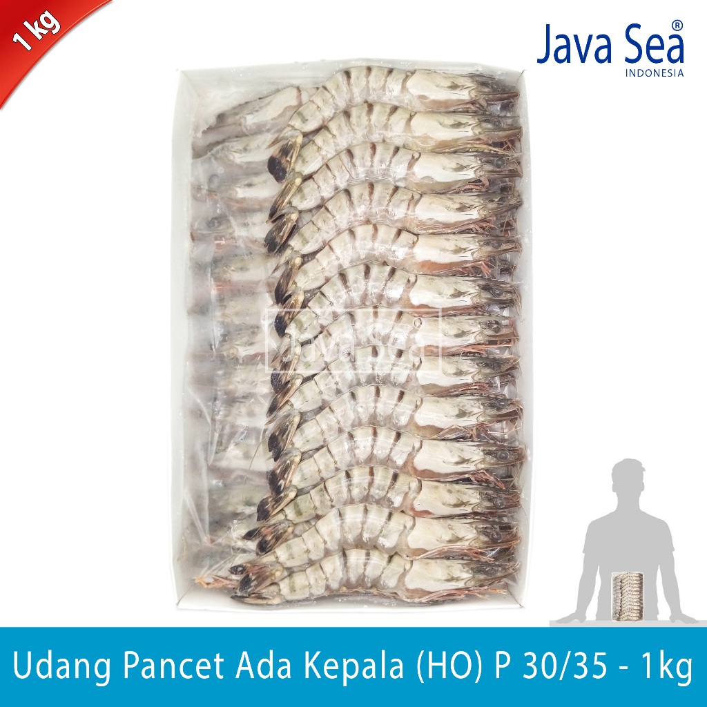 

Udang Pancet Utuh Ada Kepala HO P 30/35 pack 1kg Java Sea