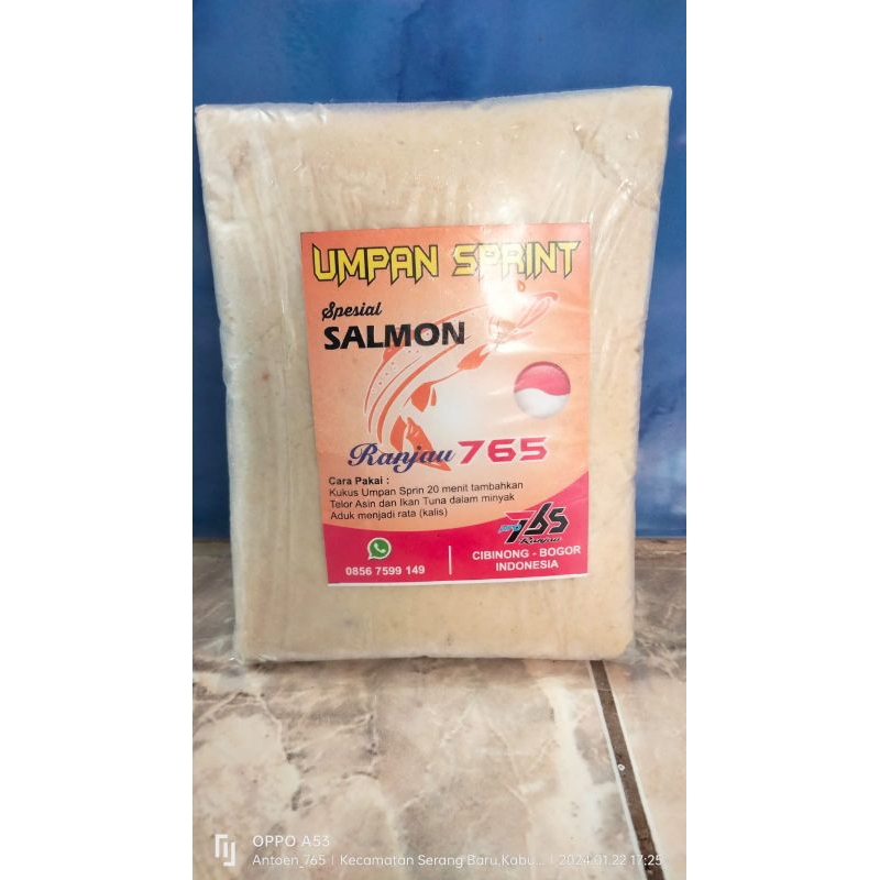 Ranjau 765  umpan pancing sprint salmon