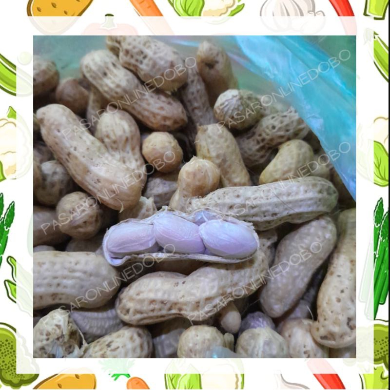 

kacang tanah masak perliter