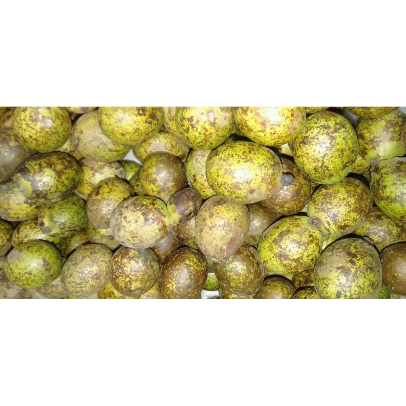 

Buah Matoa Mato segar