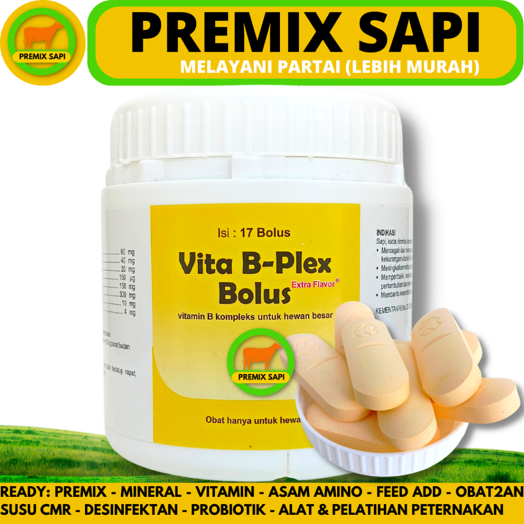 VITA B PLEX BOLUS 1 POT (17 BOLUS) MEDION - Vitamin B Complex Bolus Untuk Ternak Sapi Kambing Domba