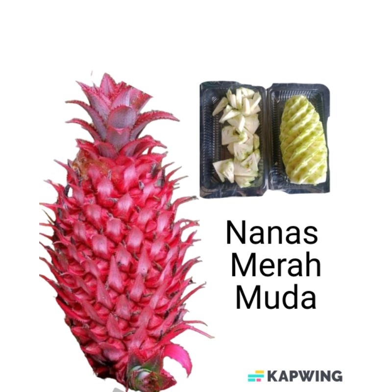 

Buah Nanas Merah Muda Sudah dikupas