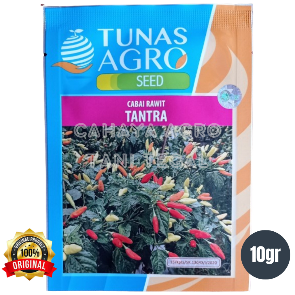 Benih cabe rawit TANTRA 10gram, cabe rawit tegak Tunas Agro