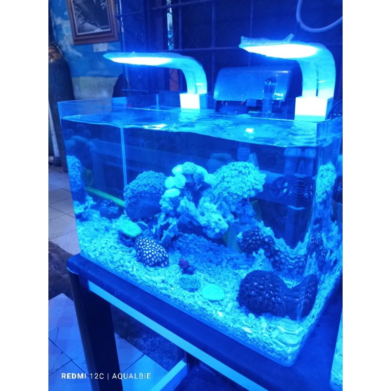 Aquarium Air Laut Full Set 50 cm