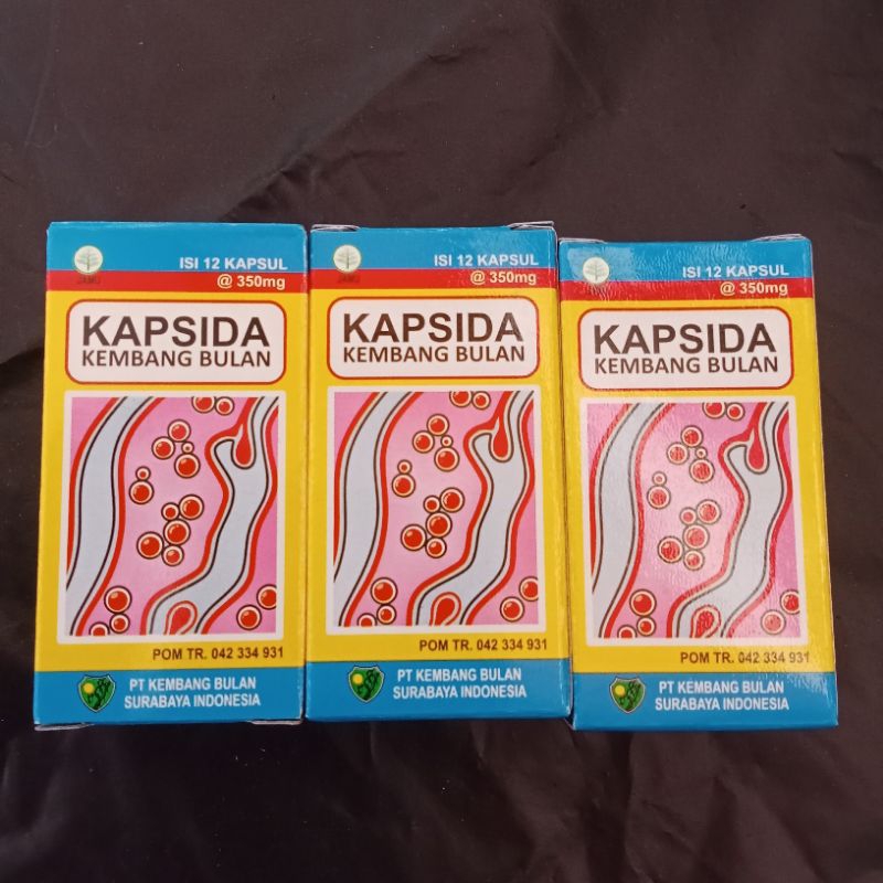 Kapsida