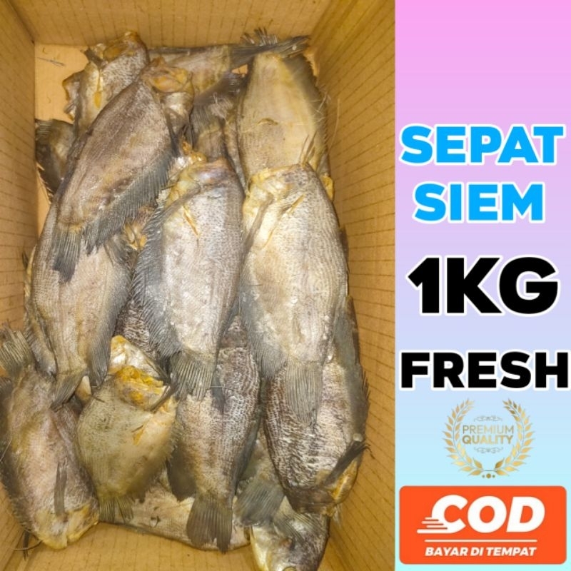

IKAN ASIN SEPAT SIEM 1KG