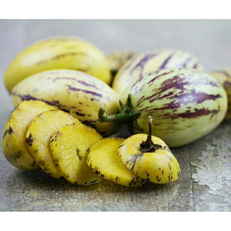 [ Paket Isi 50 Seed ] Benih - Biji - Bibit Tanaman Unik Buah Pepino Kuning