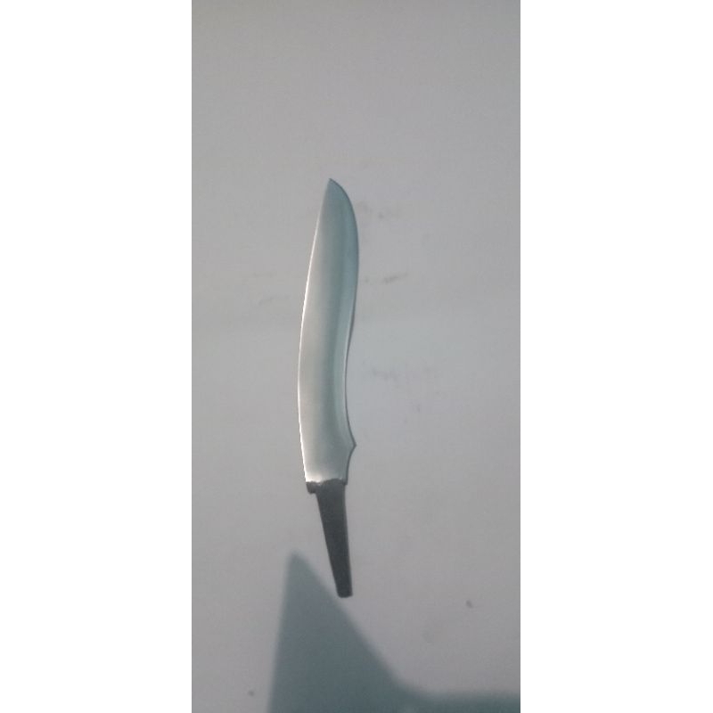 bilah mentahan pisau dapur laduk