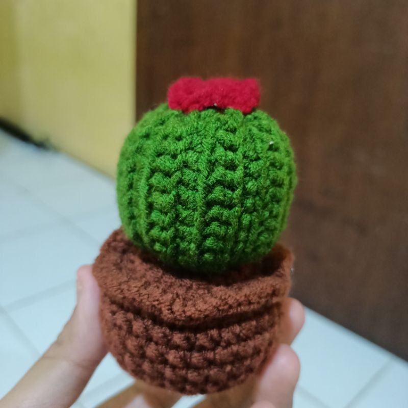 Amigurumi kaktus/bunga kaktus/Pohon kaktus