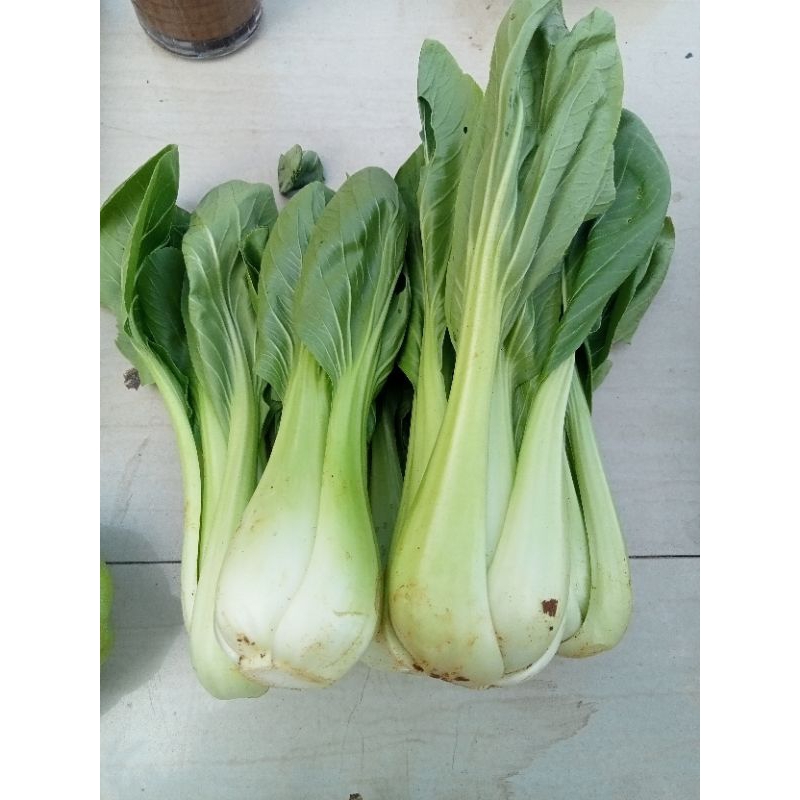 

saawi pakcaoy 500 gram 7000