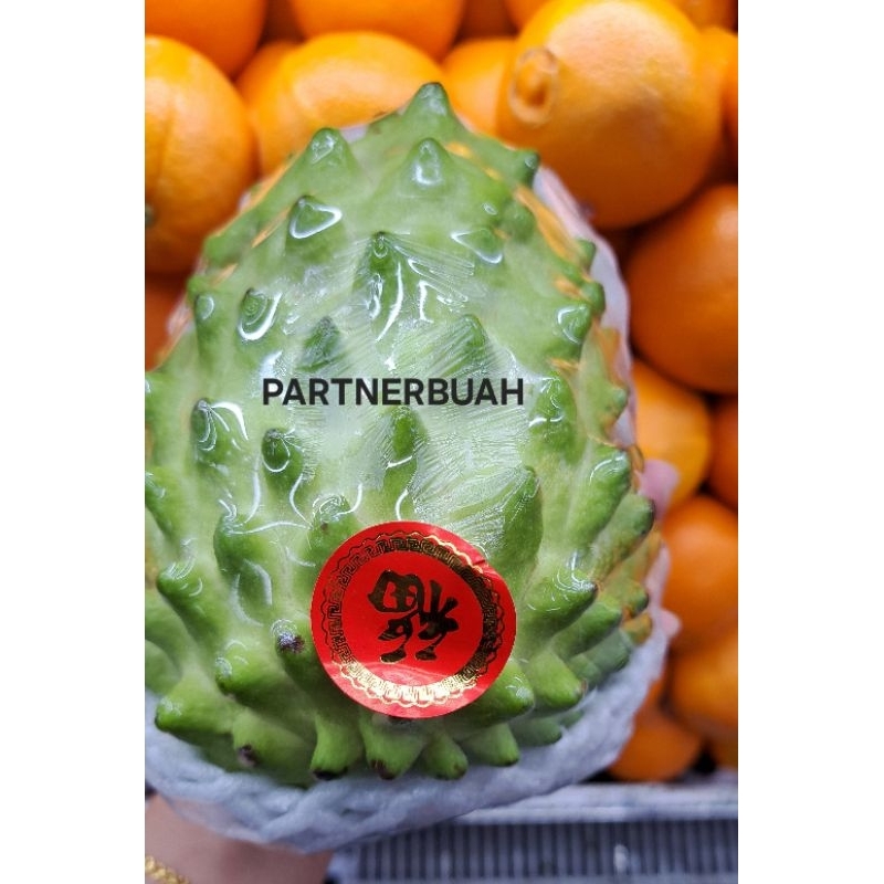

Buah Srikaya Jumbo Import Taiwan / Pcs