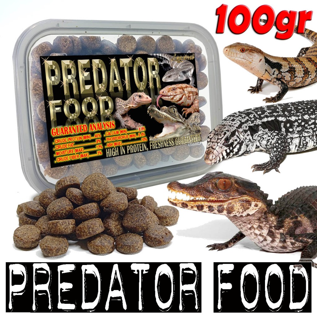 100GR MAKANAN TURTLE CST AST KURA ALIGATOR PREDATOR FOOD PELLET DIET PAKAN REPTILE PANANA TEGU BUAYA