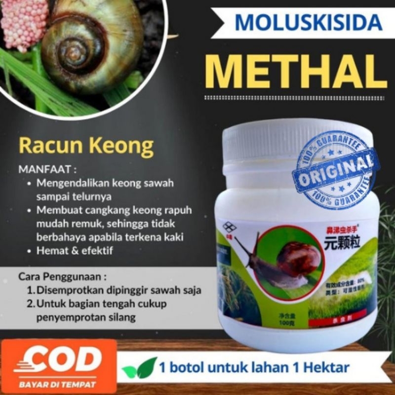 METHAL OBAT SPRAY BASMI HAMA KEONG /SIPUT DISAWAH