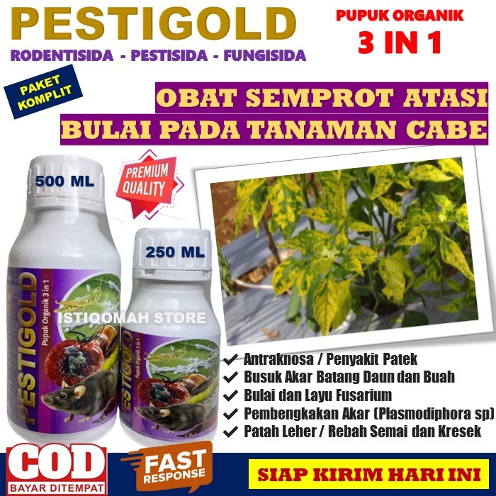 Obat Bulai Cabe Ampuh PESTIGOLD Obat Semprot Atasi Penyakit Bulai Pada Tanaman Cabe Cabai Keriting, 