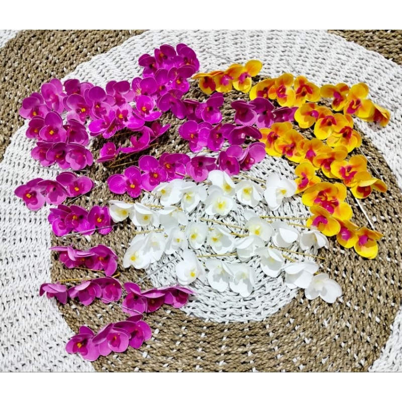 Bunga Anggrek Semanggi/Bunga Sanggul