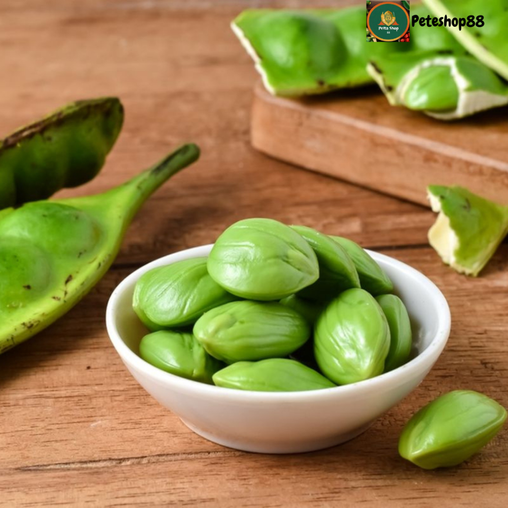 

PROMO MURAH 10-50 PAPAN PETE REGULER (BIASA) Pete REGULER (Biasa) Segar Berkualitas/Pete Segar Pilihan/Pete Tua Segar/Petemuda