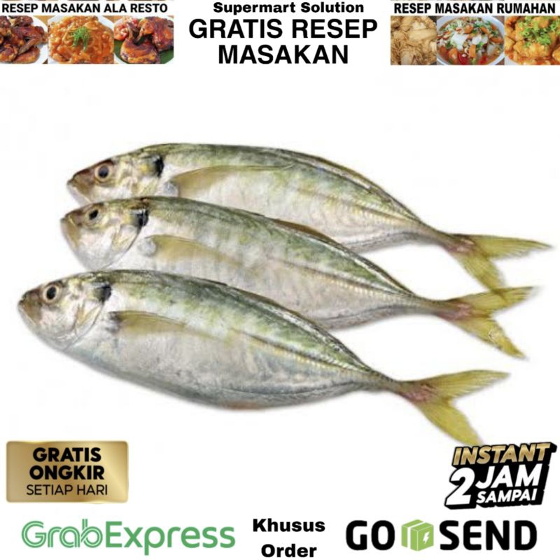 

Ikan Selar / Ikan Selar Galuh / Ikan Selar Malam