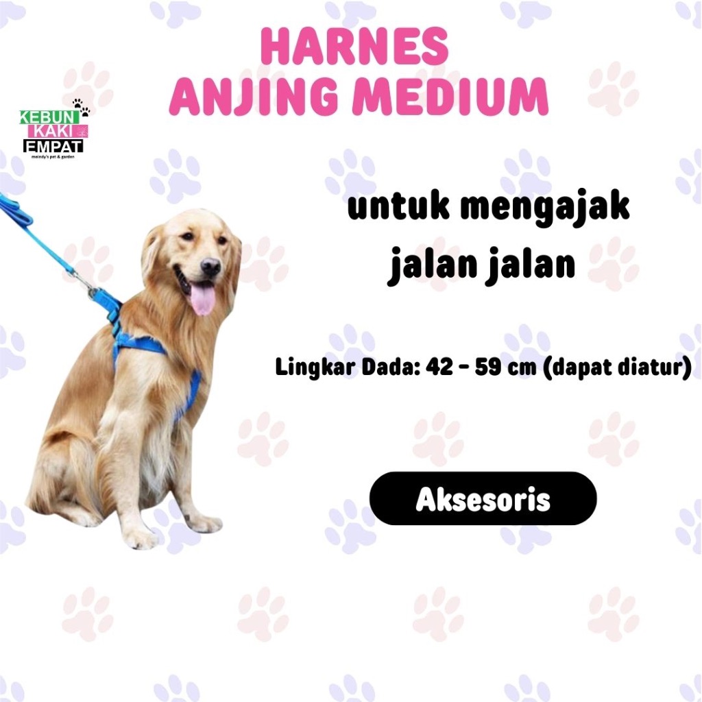 Harness anjing medium polos lucu kuat