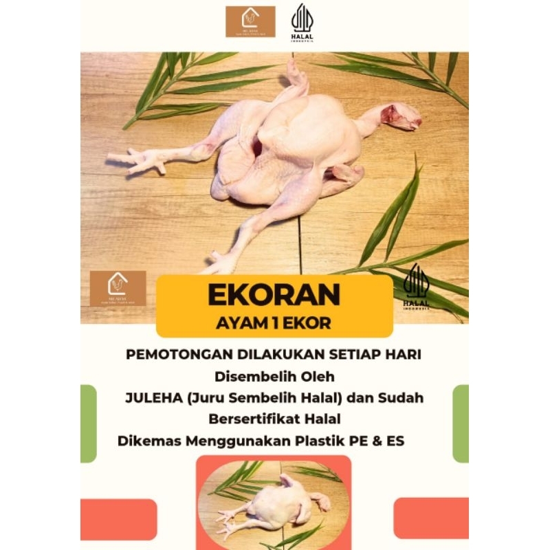 

Ayam Segar 1ekor Termurah - Berat 1,4kg - 1,5kg Harga Untuk 1ekor