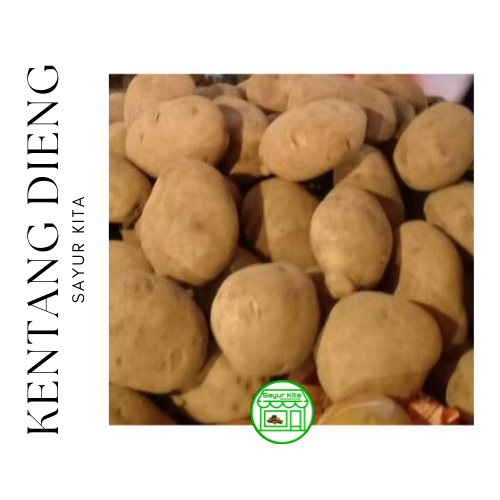 

Kentang Dieng 500 gram