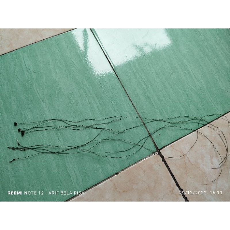 tali kaki burung korlap