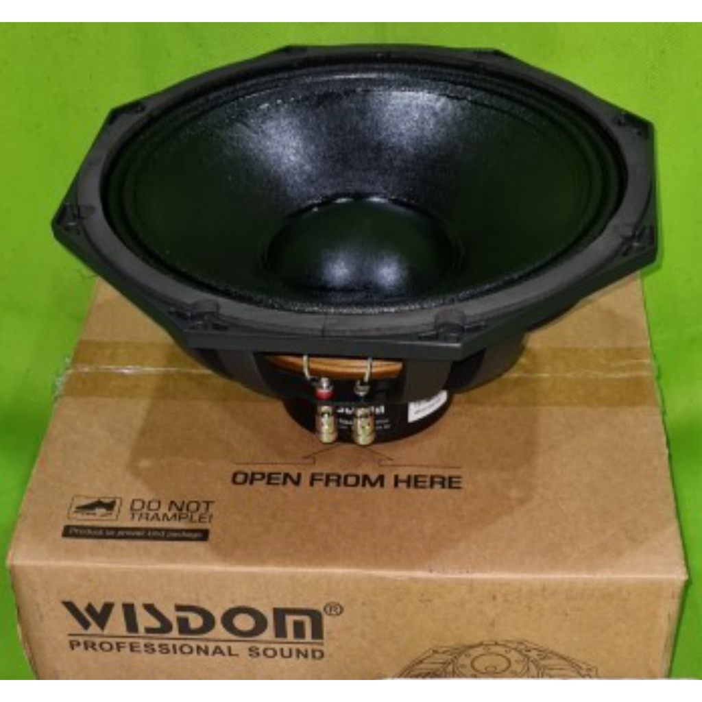Speaker Wisdom D12C / D 12C / D 12 C Neo Neodymium Magnet Original