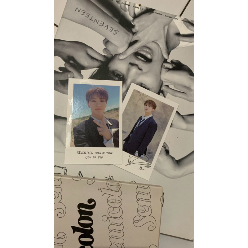 Polaroid Hoshi An Ode
