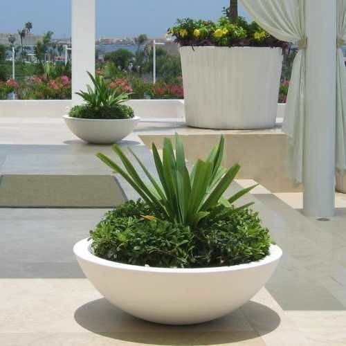 pot teratai mangkok teraso