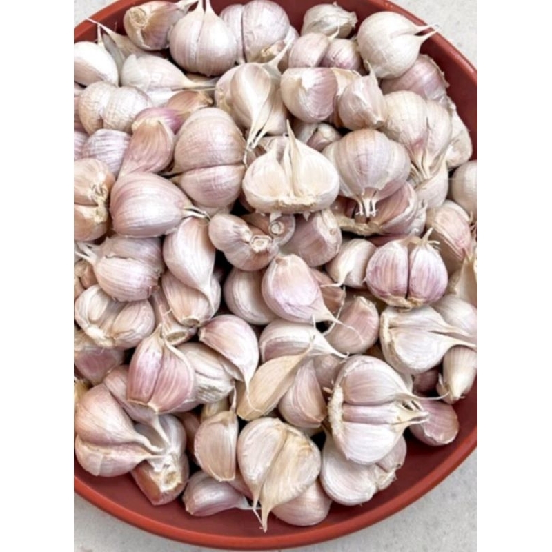 

BAWANG PUTIH KATING / BAWANG PUTIH WANGI / JAMIN SEGAR