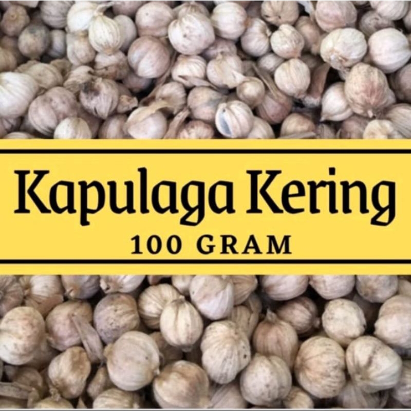 

Kapulaga kering