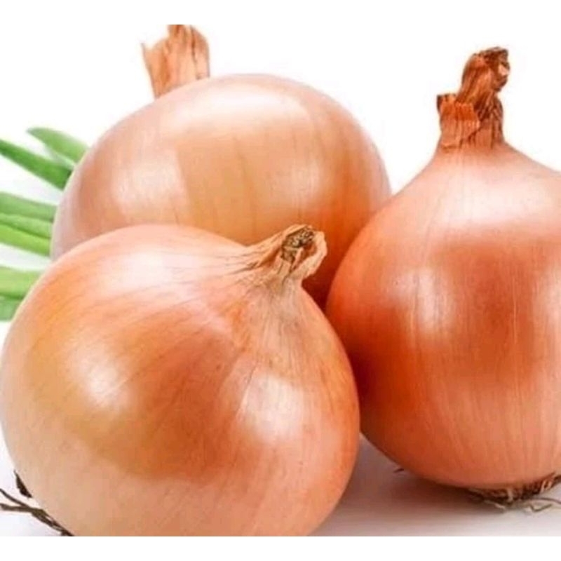 

Bawang Bombay / Onion / Garlic / Bawang Bombay Wangi / Jamin Segar