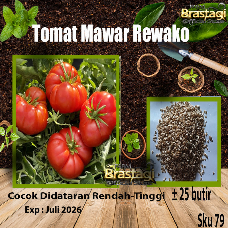 FBTG - 25 Benih TOMAT MAWAR Rewako - Biji Bibit Sayur - Cap Panah Merah - SKU 79