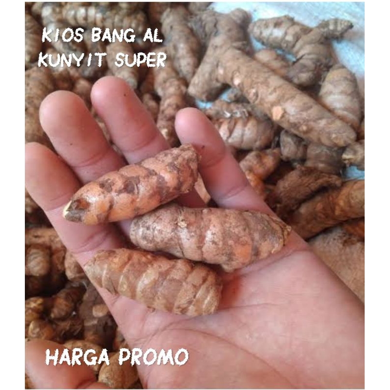 

KUNYIT BESAR MURAH KUALITAS TERBAIK/KUNYIT BESAR SUPER/KUNYIT MURAH/KUNYIT KUNING/KUNYIT OBAT HERBAL/KUNYIT 500 GRAM/KUNYIT 1KG/KUNYIT BESAR DAN TERBAIK