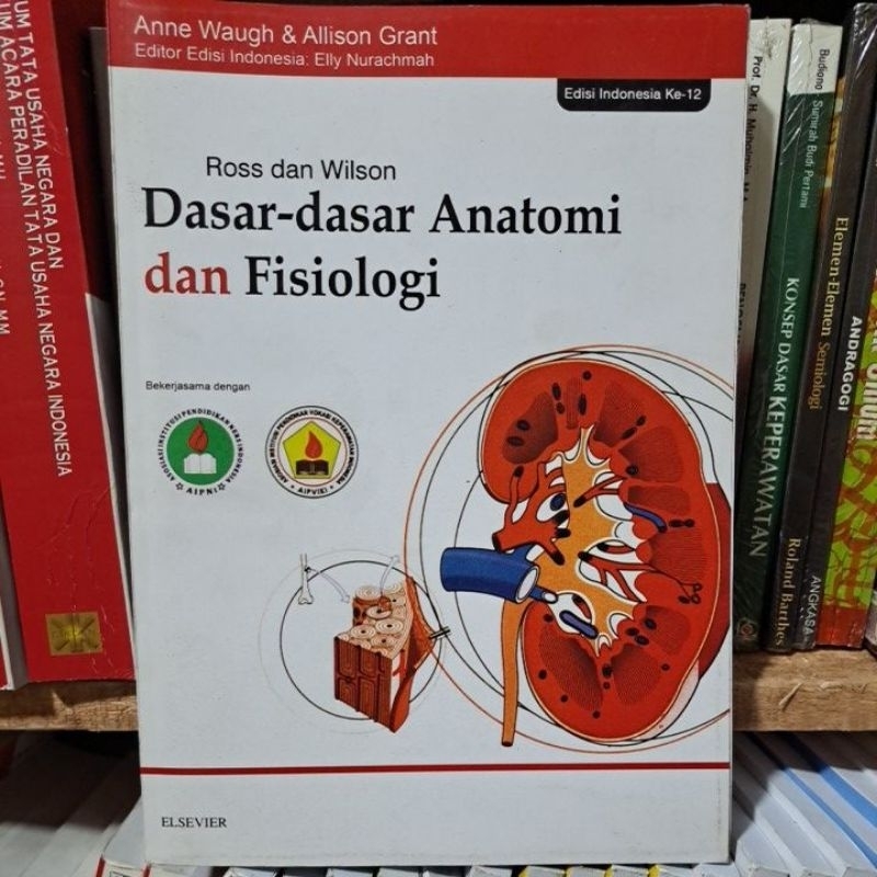 dasar dasar anatomi dan fisiologi